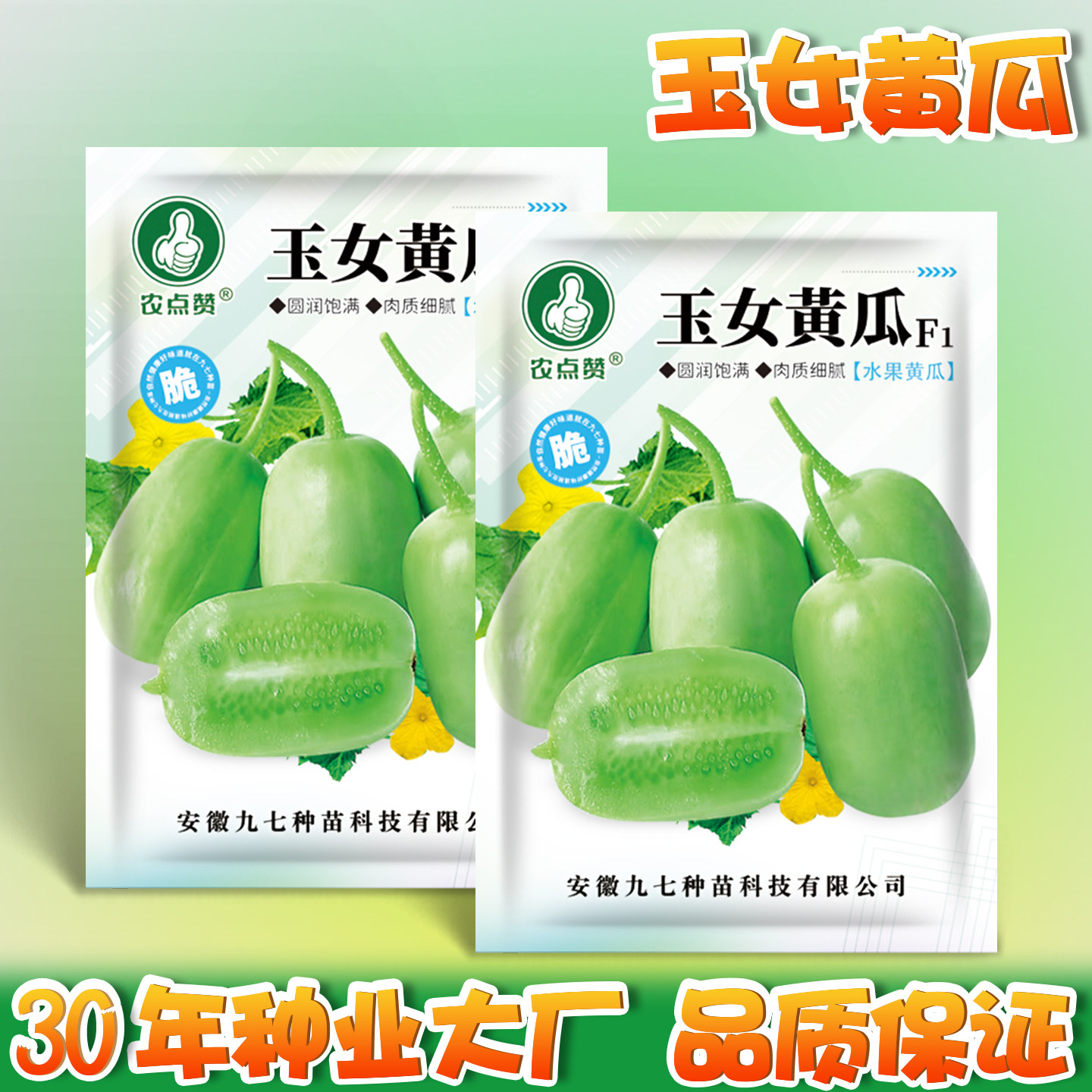 玉女黄瓜种子生吃迷你拇指小黄瓜种籽无刺圆黄瓜水果黄瓜蔬菜籽种