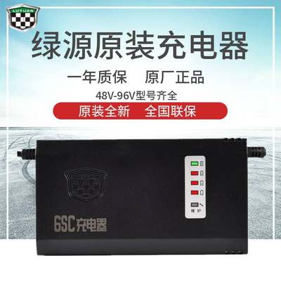 绿源原装电动车电瓶车智能充电器48V60V72V12/20AH-20E30E40E-T2T