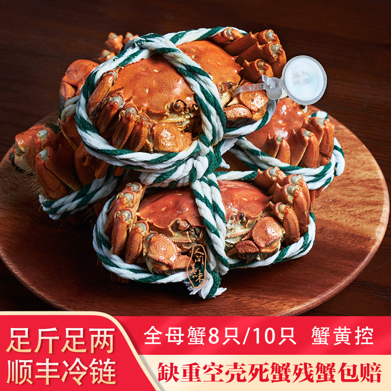 苏州大闸蟹鲜活全母蟹