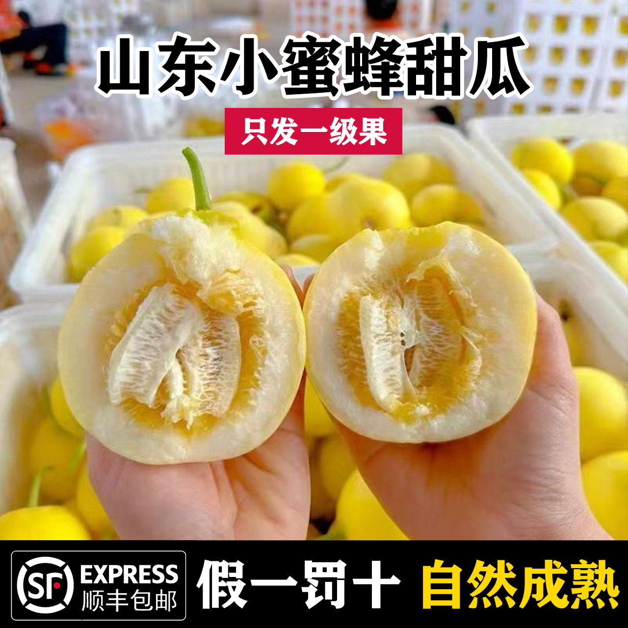 山东小蜜蜂甜瓜香瓜正宗蜜瓜时令水果当季新鲜整箱瓜类脆瓜黄金罐