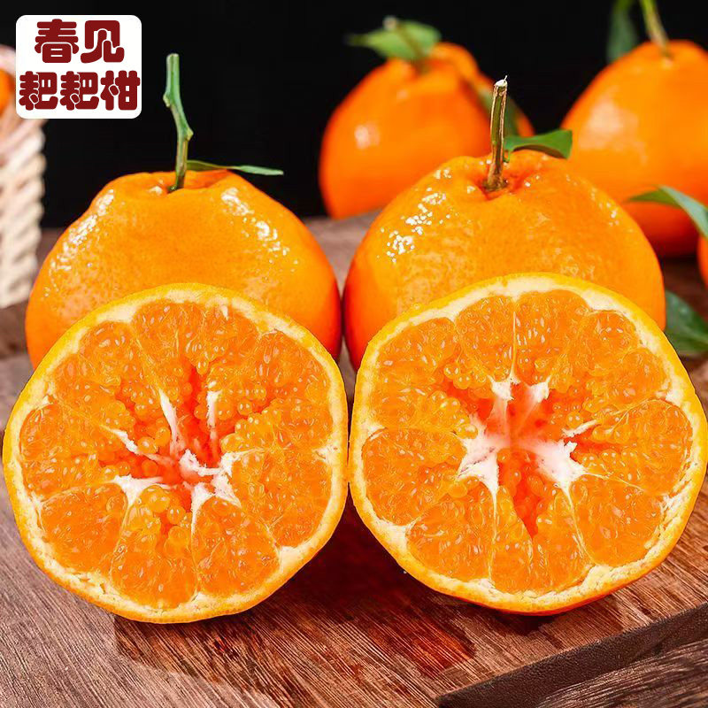 春见耙耙柑四川官方旗舰店正宗粑粑柑新鲜水果甜丑桔橘子10斤整箱,水产肉类/新鲜蔬果/熟食,桔子,淘宝优惠券,粉丝福利购,淘宝优惠卷