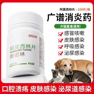 阿莫西林片宠物猫咪狗狗专用