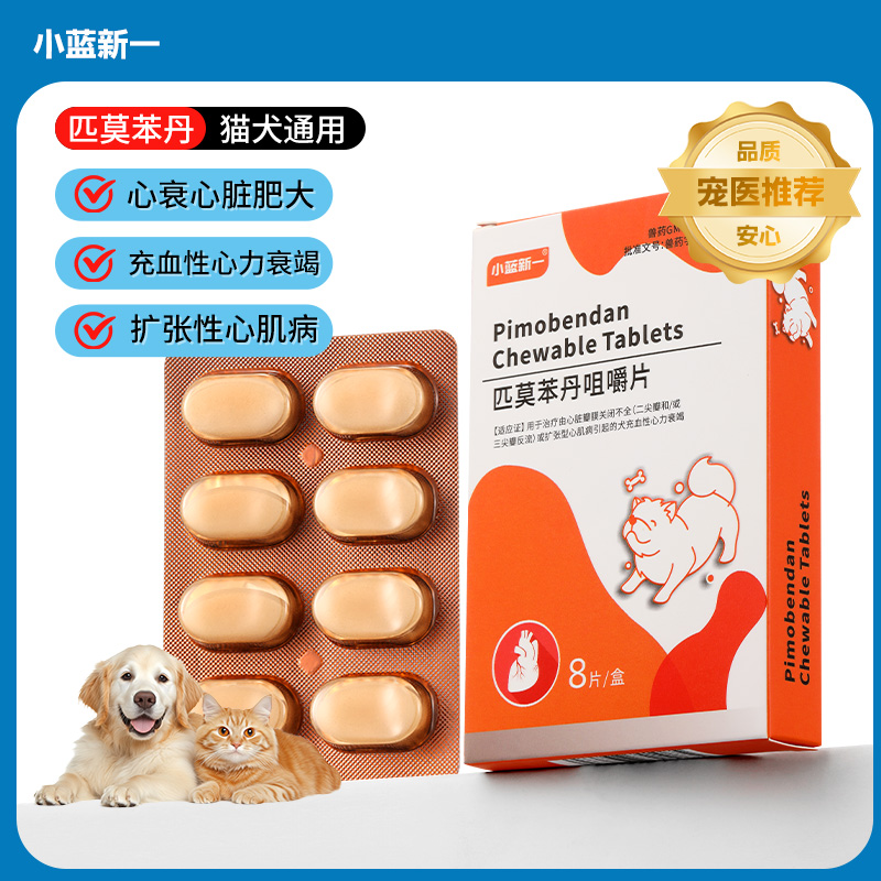匹莫苯丹犬心脏肥大心脏