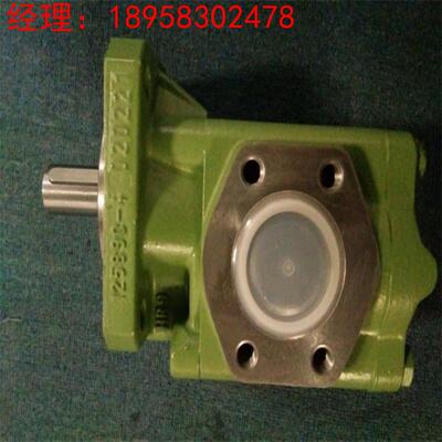 德国RICKMEIER 齿轮泵 R45/80 FL-Z-W-SAE2-R-SO全新原装正品