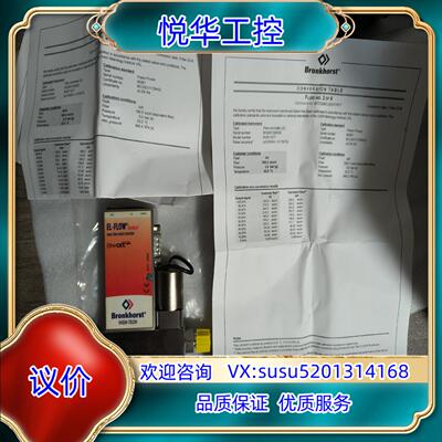 荷兰Bronkhorst计RUR-107T，全新原装盒子议价