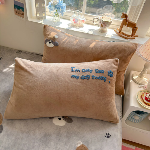 2025冬A类信封牛奶绒珊瑚毛巾绣枕套单人枕头芯长方形枕巾套48*74