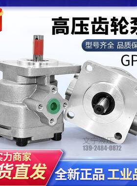 新款小型油泵高压齿轮泵GPY-8R9R10R11.5R低噪音液压齿轮泵