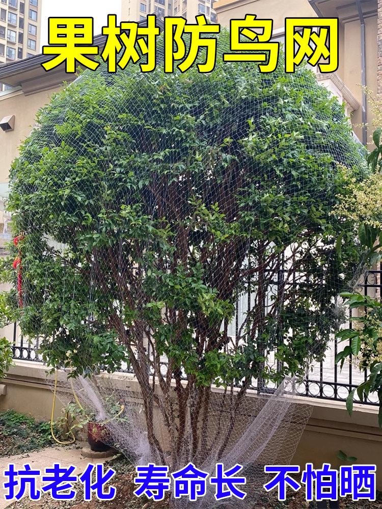 果树防鸟用的网农用防鸟丝网果园天网嘉宝果树防鸟罩子阳台防鸟网