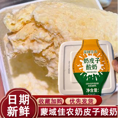 蒙域佳农奶皮子酸奶奶制品内蒙古特产发酵传统醇厚老酸奶营养即食