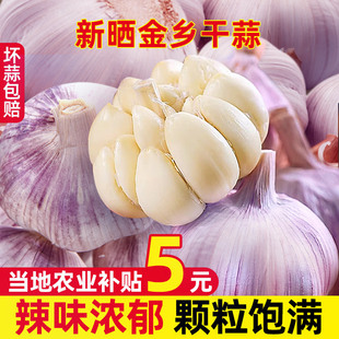 蔬菜批发紫皮特大10斤 正宗金乡大蒜新鲜干大蒜头5斤蒜籽2024当季