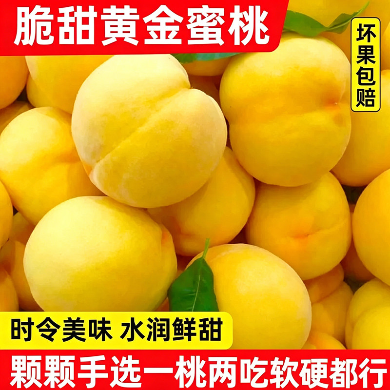 正宗现摘黄桃新鲜黄毛桃
