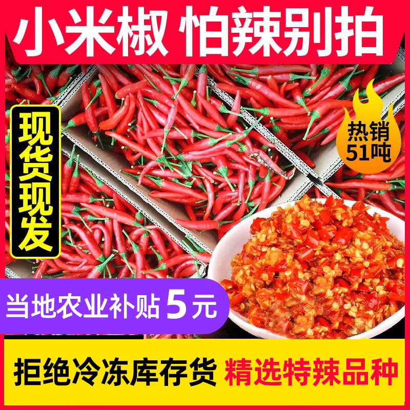 小米辣椒新鲜批发小米椒