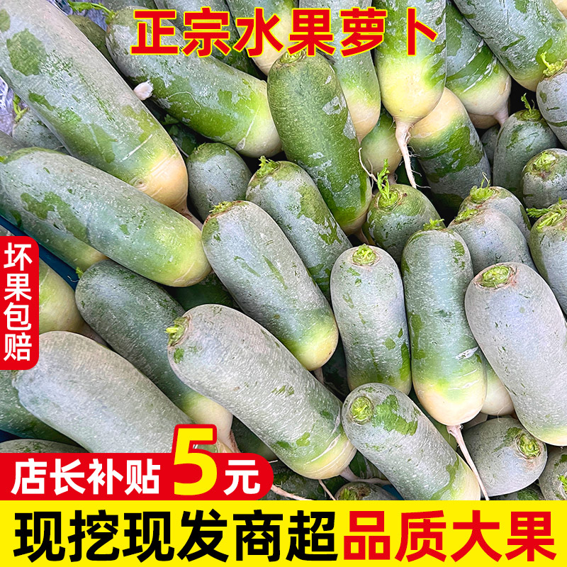 潍坊水果萝卜甜脆水果型沙窝绿青萝卜新鲜生吃9斤正宗包邮水萝卜-封面