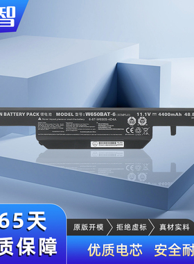 蓄智 神舟 CS65S04 CP67S03 CW65L002 CW65L003 CW65S04 CW65S07 CW65S08 CW65S10 笔记本电池