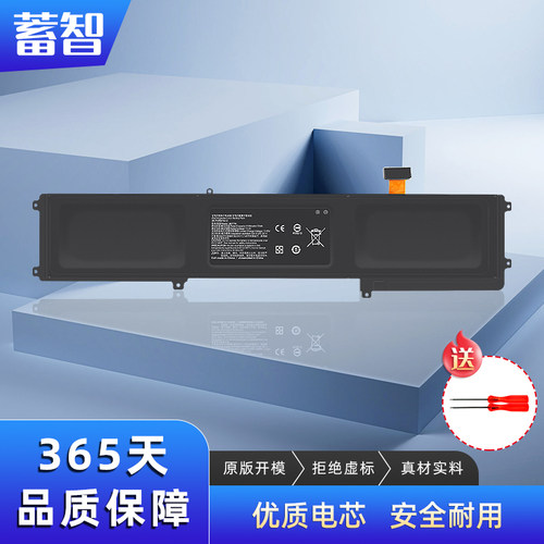 蓄智RZ09-01650195电池