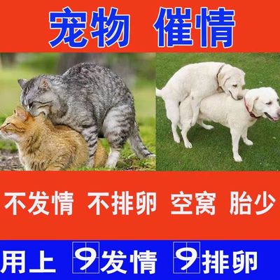 母狗猫发情粉剂狗狗配种药宠物狗用促孕散生育交配神器兽用情旺旺