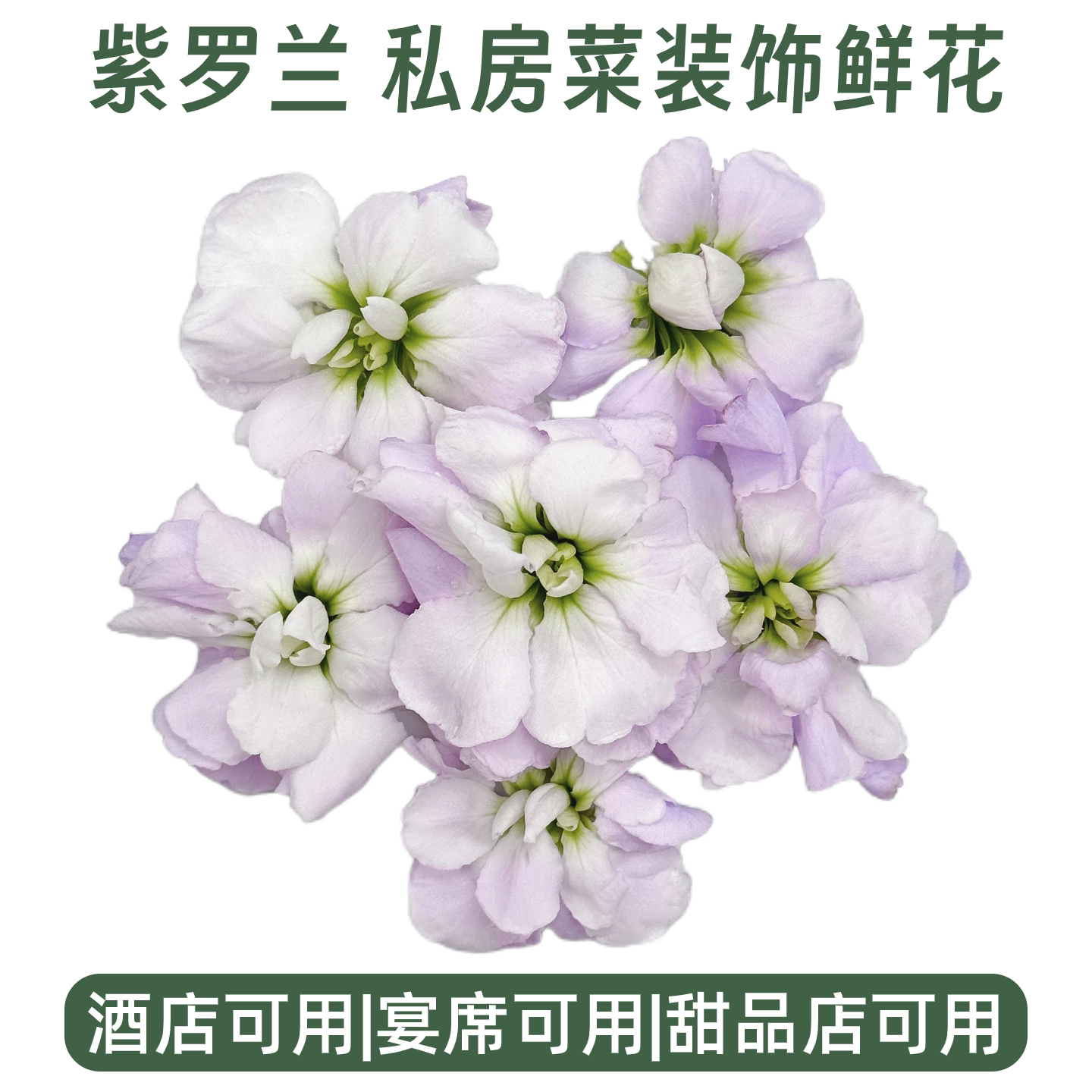 新鲜紫罗兰花私房菜酒店西餐意境菜摆盘甜品鸡尾酒冷菜装饰鲜花