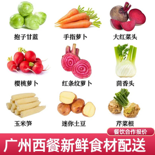 新鲜蔬菜西餐食材樱桃萝卜手指萝卜抱子甘蓝条纹萝卜玉米笋沙拉菜