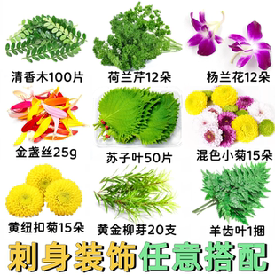 广州发货海鲜刺身日料拼盘摆盘装饰点缀小菊花苏子叶杨兰花羊齿叶