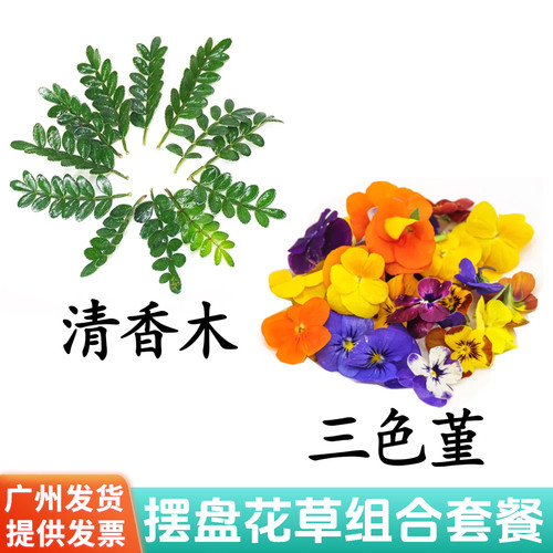 新鲜三色堇鲜花点缀摆盘装饰叶子清香木蛋糕烘焙鸡尾酒摆件花草