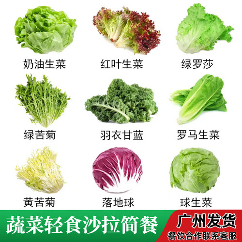新鲜沙拉蔬菜组合西餐生食菜轻食简餐红叶生菜羽衣甘蓝苦菊红菊苣