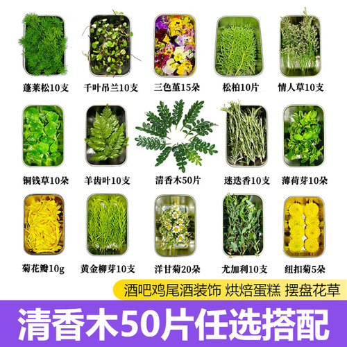 网红酒吧鸡尾酒装饰叶子烘焙蛋糕甜品点心西餐冷菜三色堇摆盘花草