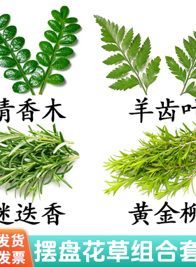 新鲜摆盘装饰花草清香木羊齿叶迷迭香柳芽蛋糕烘焙装扮绿叶摆件