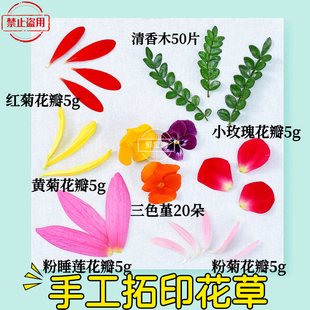 拓印植物敲鲜花树叶幼儿园手工拓染diy帆布袋方巾摆盘装饰花草