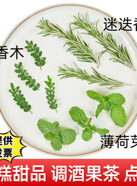夏季鸡尾酒饮品装饰薄荷清香木迷迭香烘干西柚菠萝橙子摆盘花草