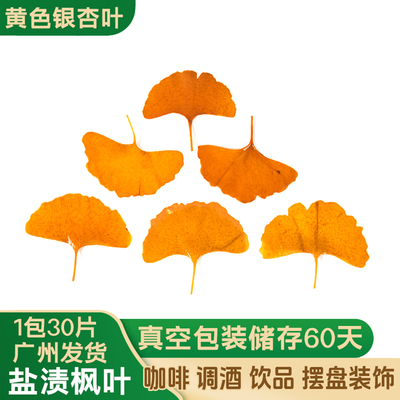 红枫叶三色枫叶装饰咖啡调酒摆盘