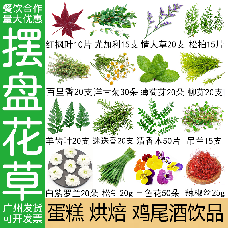 酒吧鸡尾酒饮品装饰清香木叶子提拉米苏蛋糕烘焙柳芽紫罗兰迷迭香