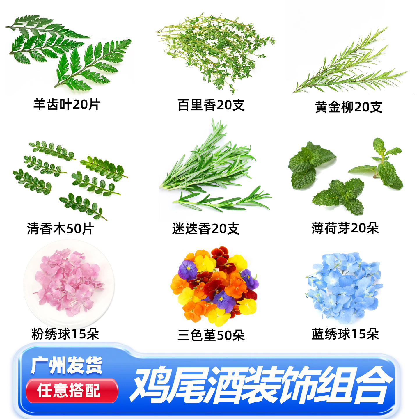 夏季情人节鸡尾酒装饰花草任意搭配清香木薄荷芽羊齿叶烘干水果
