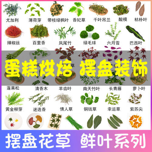 西餐日料摆盘装饰叶子坏单包赔