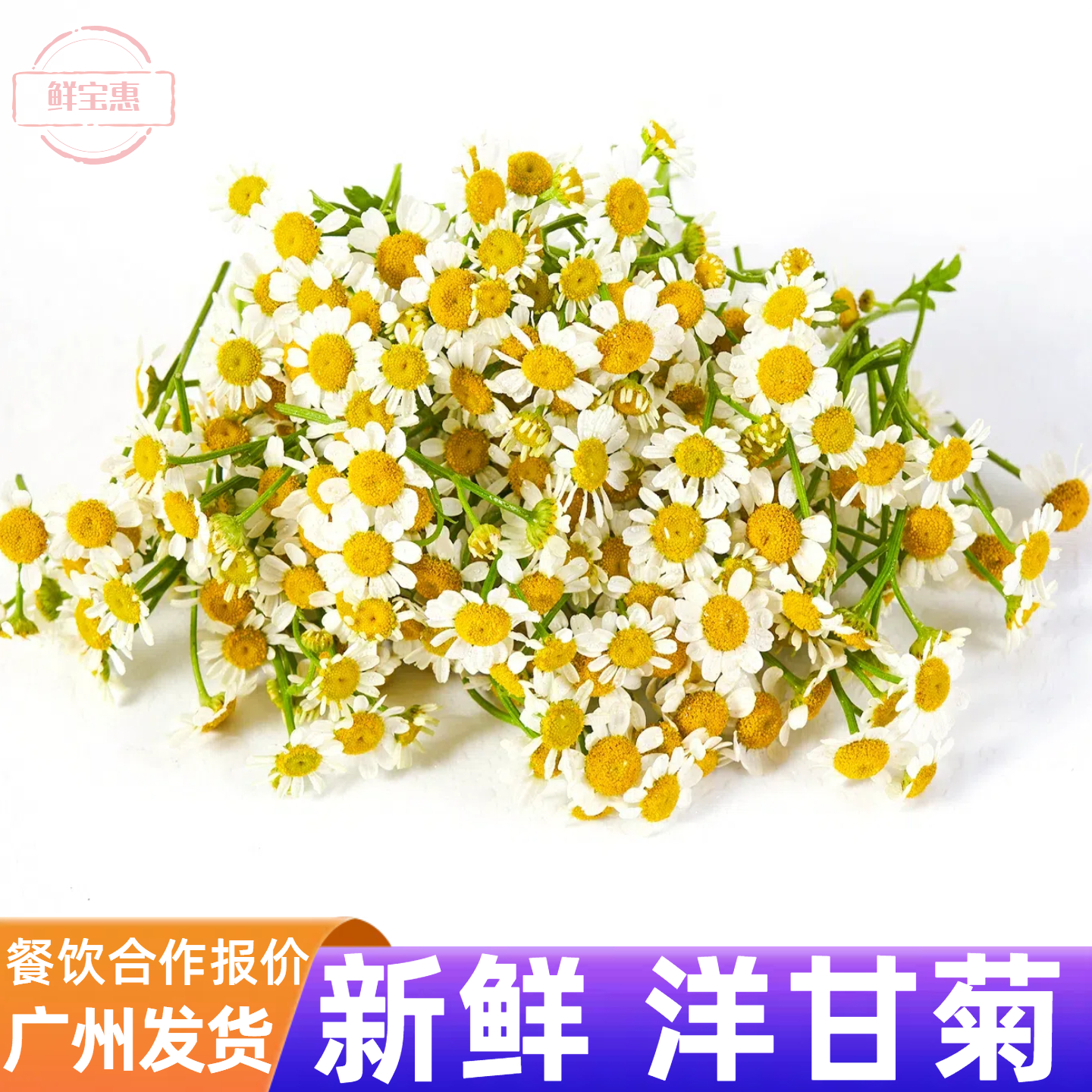 新鲜洋甘菊小雏菊摆盘装饰花草