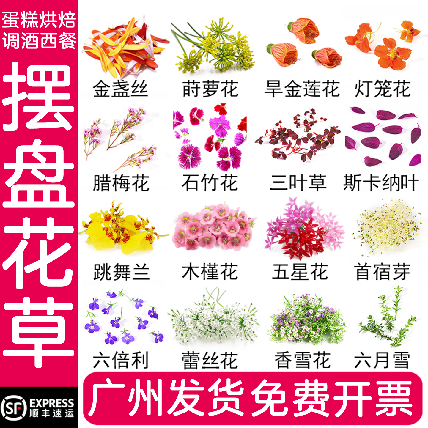 新鲜西餐意境摆盘花草蛋糕烘焙鸡尾酒日料装饰叶子金盏丝跳舞兰