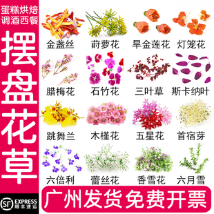 新鲜西餐意境摆盘花草蛋糕烘焙鸡尾酒日料装 饰叶子金盏丝跳舞兰