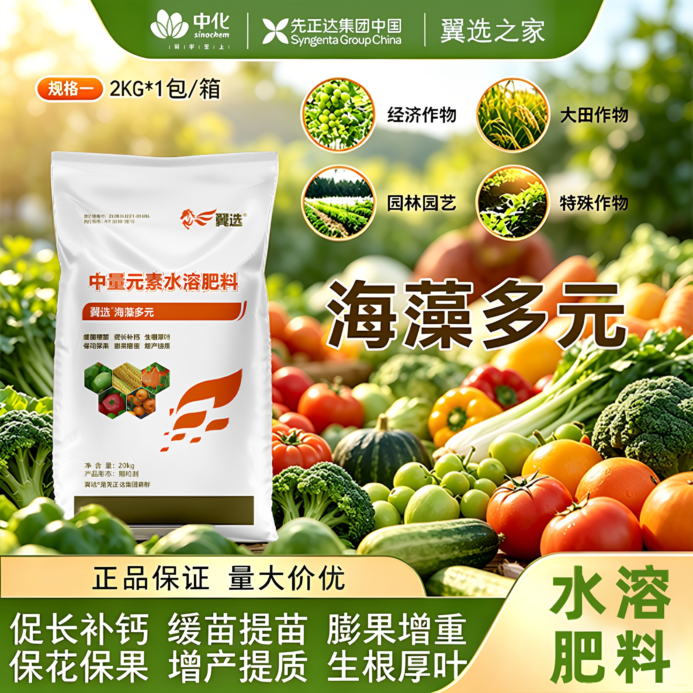 翼选海藻多元中量水溶肥
