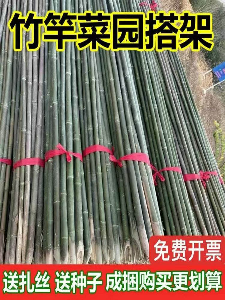 瓜藤架竹竿子菜园搭架豆角黄瓜丝篱笆彩旗菜架种菜小竹子细竹杆