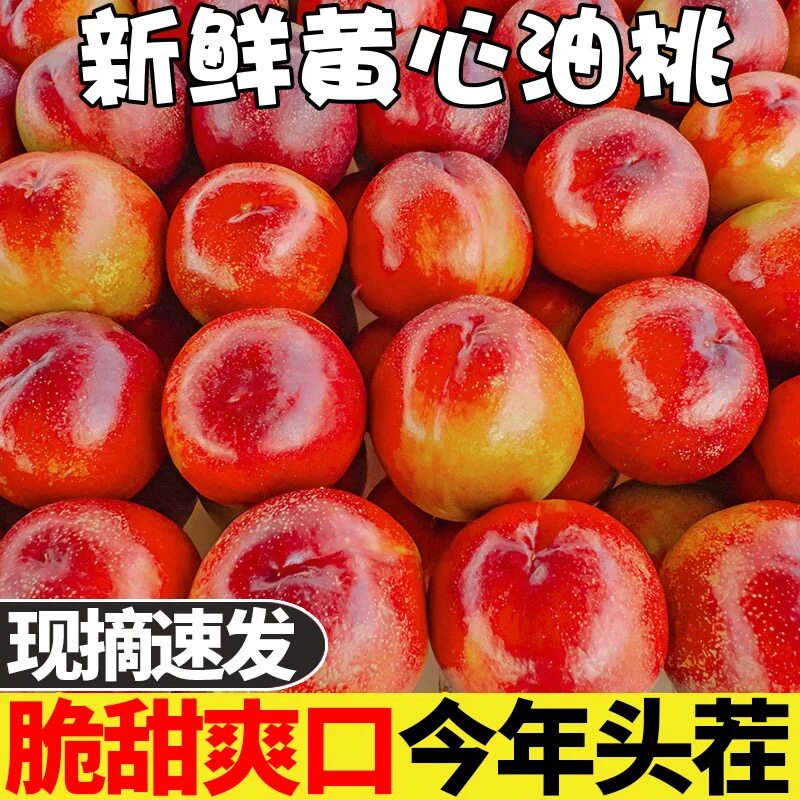 现货黄心油桃新鲜水果黄肉黄金桃子现摘应季脆软桃水密桃整箱包邮