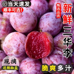正宗红心三华李新鲜水果现货5斤特大三月李子当季现摘整箱