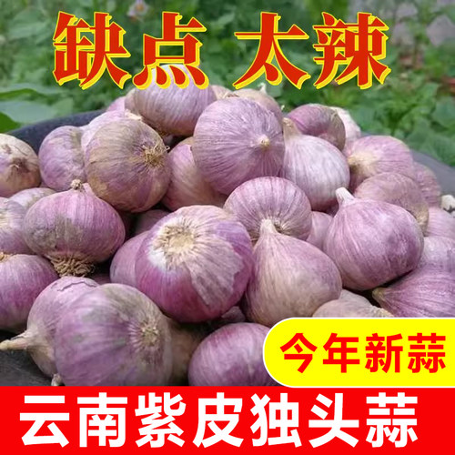 2026云南独头蒜干大蒜头新鲜干蒜紫皮圆头独蒜红辣蒜5斤蔬菜当季