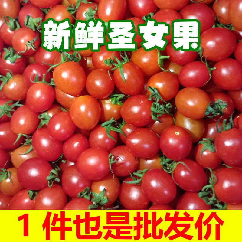 圣女果新鲜红色樱桃小番茄时令现货孕妇水果包邮一颗自提自然熟