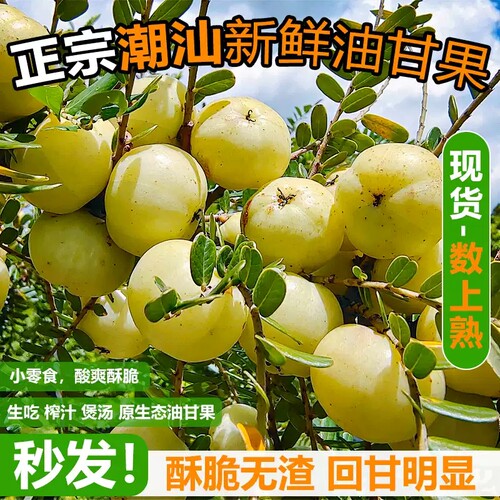 柑潮汕油甘果崩坎特产丙甜柿饼甜种余甘子奶茶店用当季新鲜大果