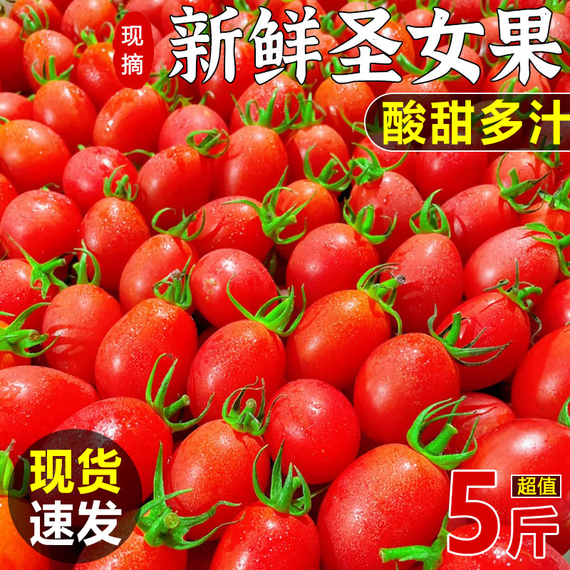 圣女果西红柿小番茄新鲜水果千禧樱桃柿子生吃自然熟蔬菜包邮5斤
