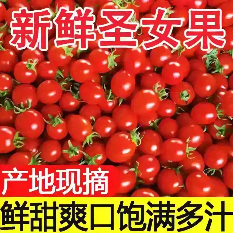 圣女果西红柿小番茄新鲜水果千禧樱桃柿子生吃自然熟蔬菜包邮5斤