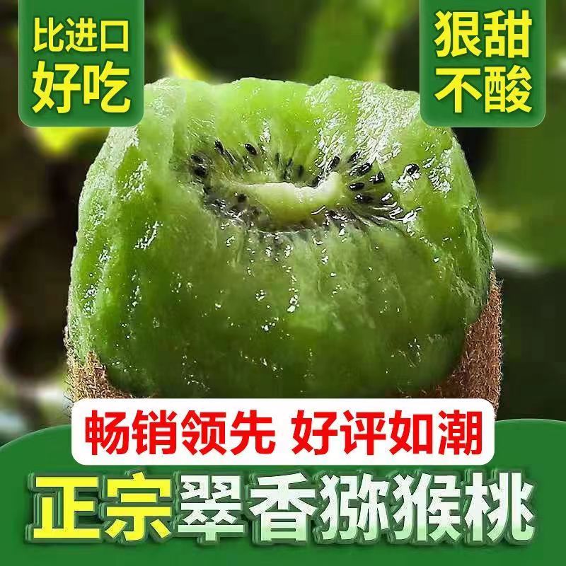 陕西周至翠香猕猴桃绿心奇异果
