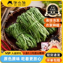 洽小仙贡菜干响菜干货凉拌菜火锅贡菜干蔬菜响菜 超级年货节