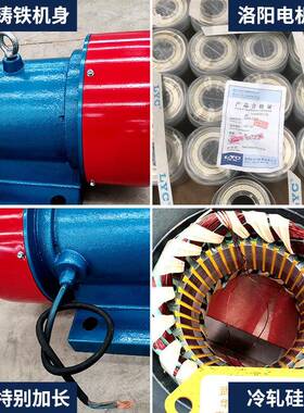 厂家电机10-6YZS系列380V三相振动2.2/0.75W全铜线振动电工