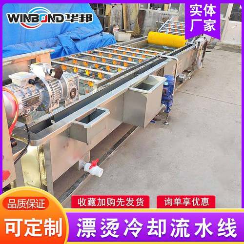 商用不桑叶漂烫池 自动TZT连续漂钢烫冷却机 豆角漂流烫锈冷却水