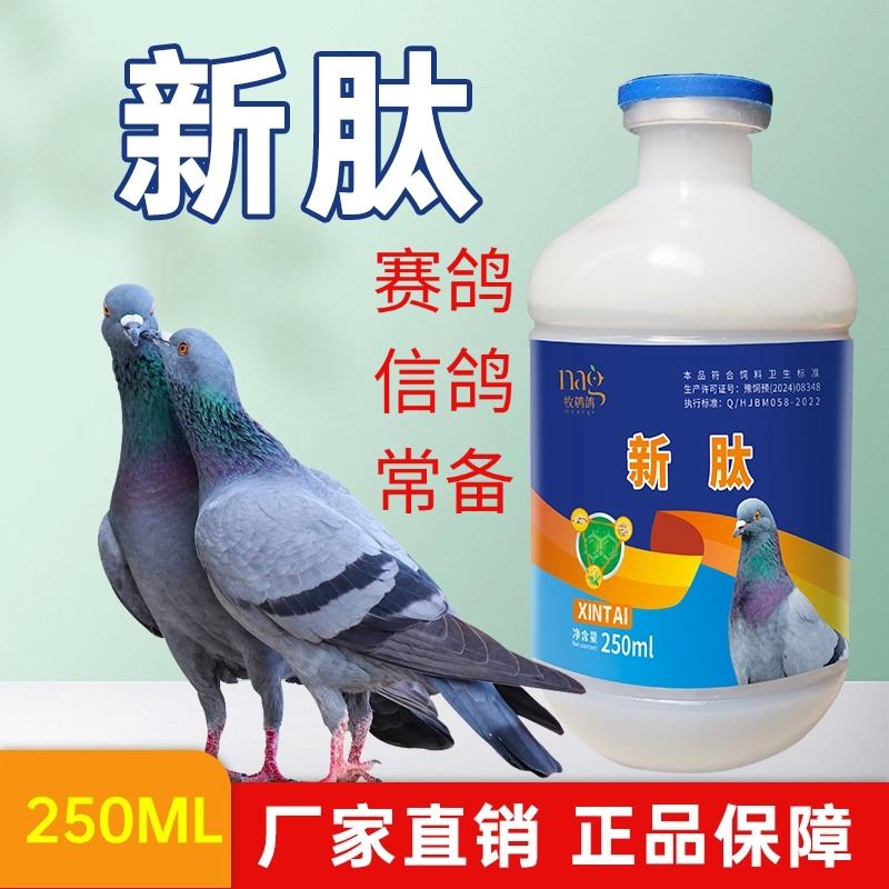 新肽鸽用鸽子甩拉吐鸽子水便绿便赛鸽信鸽肉鸽鸽子专用鸽子新肽